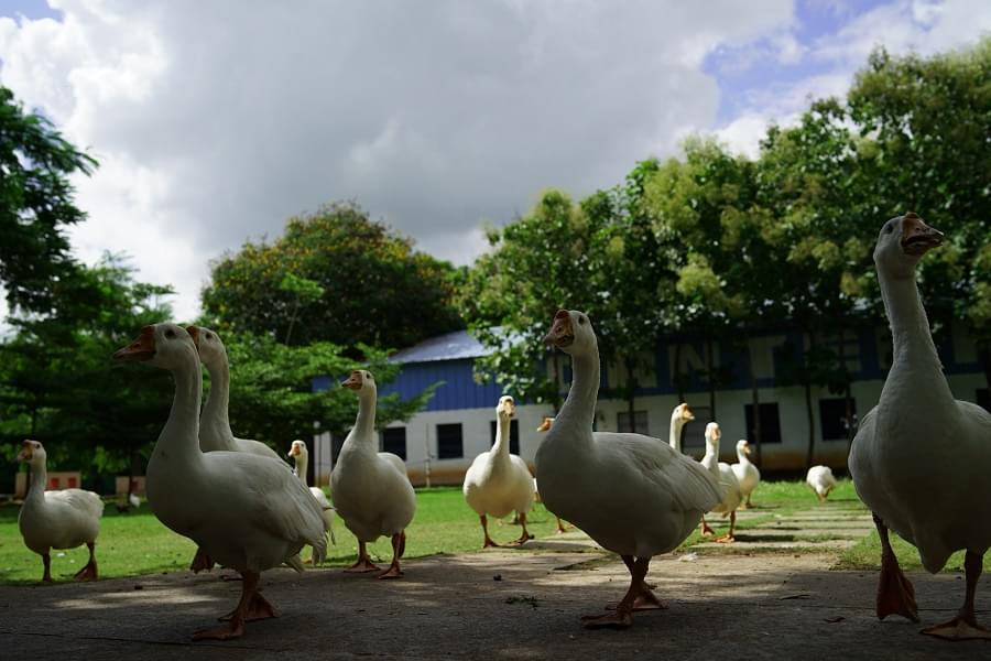 KG Reddy College of Engineering and Technology Hyderabad Campus Life photo 3